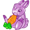 https://images.neopets.com/template_images/jelly_snowbunny_eating.gif