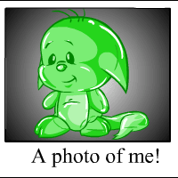 https://images.neopets.com/template_images/kacheek_jelly_me.gif