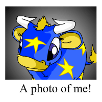 https://images.neopets.com/template_images/kau_starry_me.gif