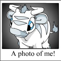 https://images.neopets.com/template_images/kau_white_me.gif