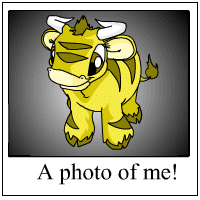 https://images.neopets.com/template_images/kau_yellow_me.gif
