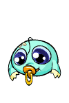 https://images.neopets.com/template_images/kiko_baby_bounce.gif