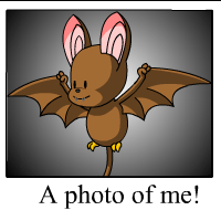 https://images.neopets.com/template_images/korbat_brown_me.gif