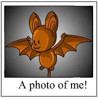https://images.neopets.com/template_images/korbat_chocolate_me.gif