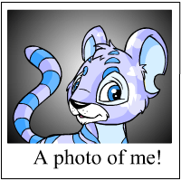 https://images.neopets.com/template_images/kougra_cloud_me.gif