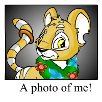 https://images.neopets.com/template_images/kougra_island_me.gif