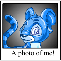 https://images.neopets.com/template_images/kougra_jelly_me.gif