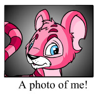 https://images.neopets.com/template_images/kougra_pink_me.gif