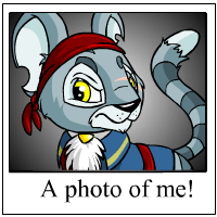https://images.neopets.com/template_images/kougra_pirate_me.gif