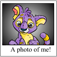 https://images.neopets.com/template_images/kougra_plushie_me.gif