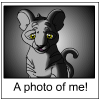 https://images.neopets.com/template_images/kougra_shadowed_me.gif