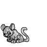 https://images.neopets.com/template_images/kougra_silver_tail.gif