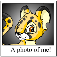 https://images.neopets.com/template_images/kougra_spotted_me.gif