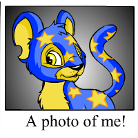 https://images.neopets.com/template_images/kougra_starry_me.gif