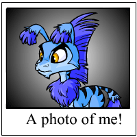 https://images.neopets.com/template_images/ogrin_blue_me.gif