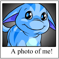 https://images.neopets.com/template_images/poogle_blue_me.gif
