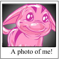 https://images.neopets.com/template_images/poogle_jelly_me.gif