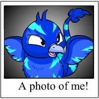 https://images.neopets.com/template_images/pteri_electric_me.gif