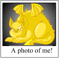 https://images.neopets.com/template_images/skeith_gold_me.gif