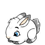 https://images.neopets.com/template_images/snowbunny_hop.gif