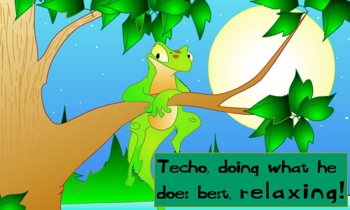 https://images.neopets.com/template_images/techo_relaxing.jpg