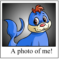 https://images.neopets.com/template_images/tuskaninny_blue_me.gif