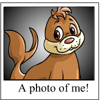 https://images.neopets.com/template_images/tuskaninny_brown_me.gif