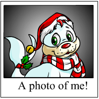 https://images.neopets.com/template_images/tuskaninny_christmas_me.gif