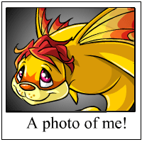 https://images.neopets.com/template_images/tuskaninny_faerie_me.gif