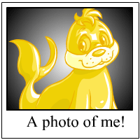 https://images.neopets.com/template_images/tuskaninny_gold_me.gif