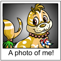 https://images.neopets.com/template_images/tuskaninny_island_me.gif