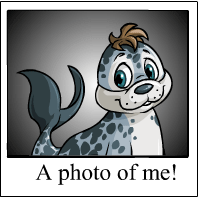 https://images.neopets.com/template_images/tuskaninny_spotted_me.gif