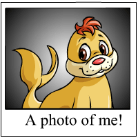 https://images.neopets.com/template_images/tuskaninny_yellow_me.gif