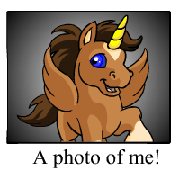 https://images.neopets.com/template_images/uni_brown_me.gif