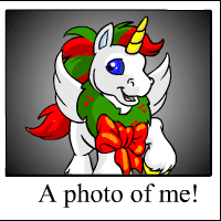 https://images.neopets.com/template_images/uni_christmas_me.gif