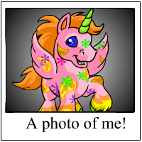 https://images.neopets.com/template_images/uni_disco_me.gif