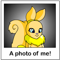 https://images.neopets.com/template_images/usul_yellow_me.gif