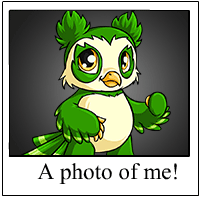 https://images.neopets.com/template_images/vandagyre_green_me.gif