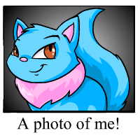 https://images.neopets.com/template_images/wocky_blue_me.gif