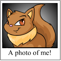 https://images.neopets.com/template_images/wocky_brown_me.gif