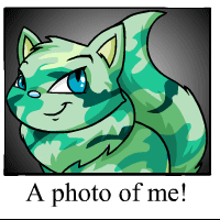 https://images.neopets.com/template_images/wocky_camouflage_me.gif