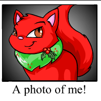 https://images.neopets.com/template_images/wocky_christmas_me.gif