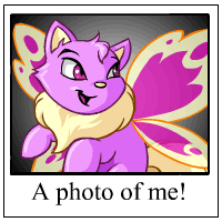 https://images.neopets.com/template_images/wocky_faerie_me.gif