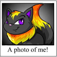 https://images.neopets.com/template_images/wocky_fire_me.gif