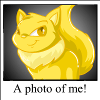 https://images.neopets.com/template_images/wocky_gold_me.gif