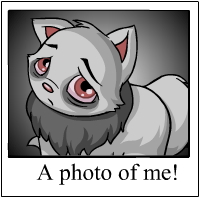 https://images.neopets.com/template_images/wocky_grey_me.gif