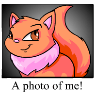 https://images.neopets.com/template_images/wocky_orange_me.gif