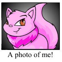 https://images.neopets.com/template_images/wocky_pink_me.gif