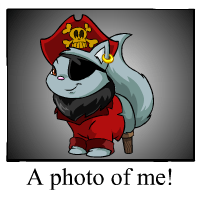 https://images.neopets.com/template_images/wocky_pirate_me.gif