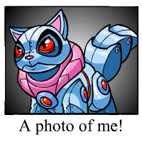 https://images.neopets.com/template_images/wocky_robot_me.gif